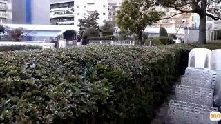最新泄密《高质量美女自拍之护士裸拍给男友剃毛啪啪+情侣日常道具啪啪》年龄很小的妹子被男友跳蛋玩弄，大尺度拍逼